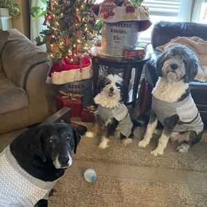 Meet your Posher, Mary